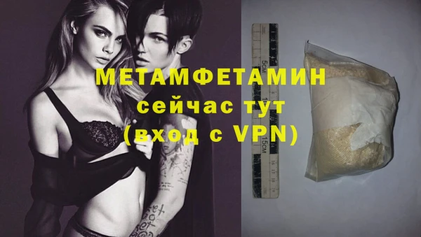 спиды Вяземский