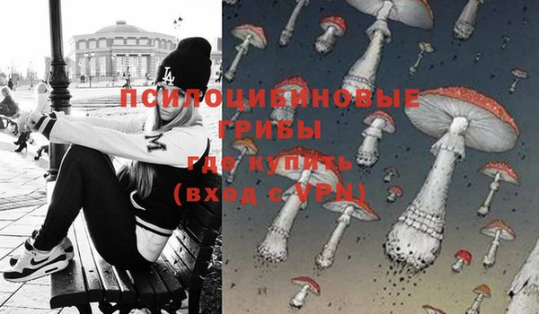 прущая мука Вязьма