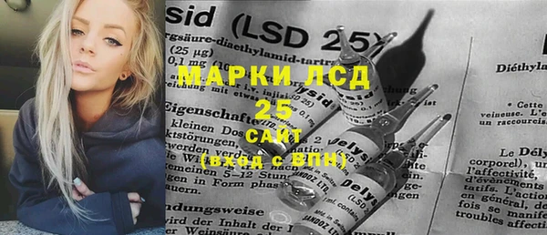 спиды Вяземский