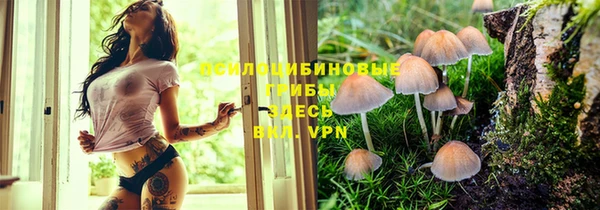 спиды Вяземский