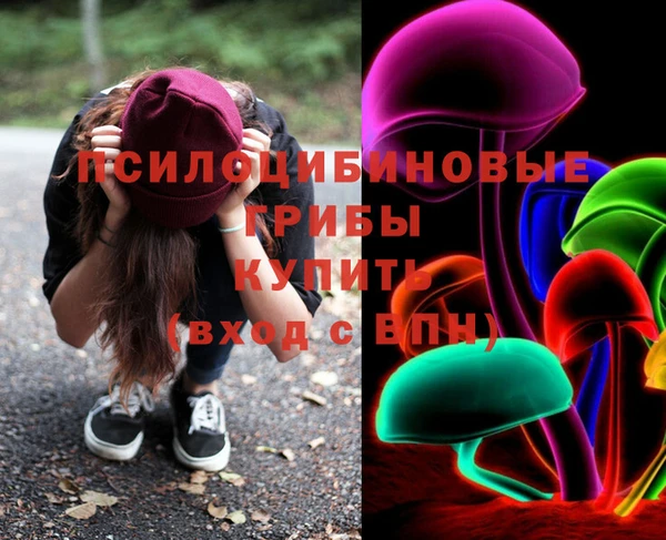 спиды Вяземский