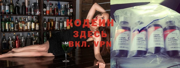 спиды Вяземский
