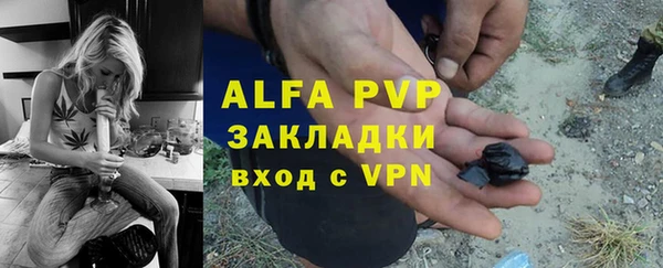 спиды Вяземский