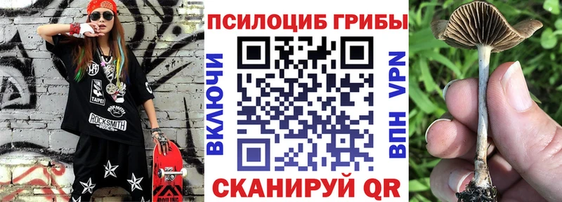 Псилоцибиновые грибы мухоморы  продажа наркотиков  Дедовск 